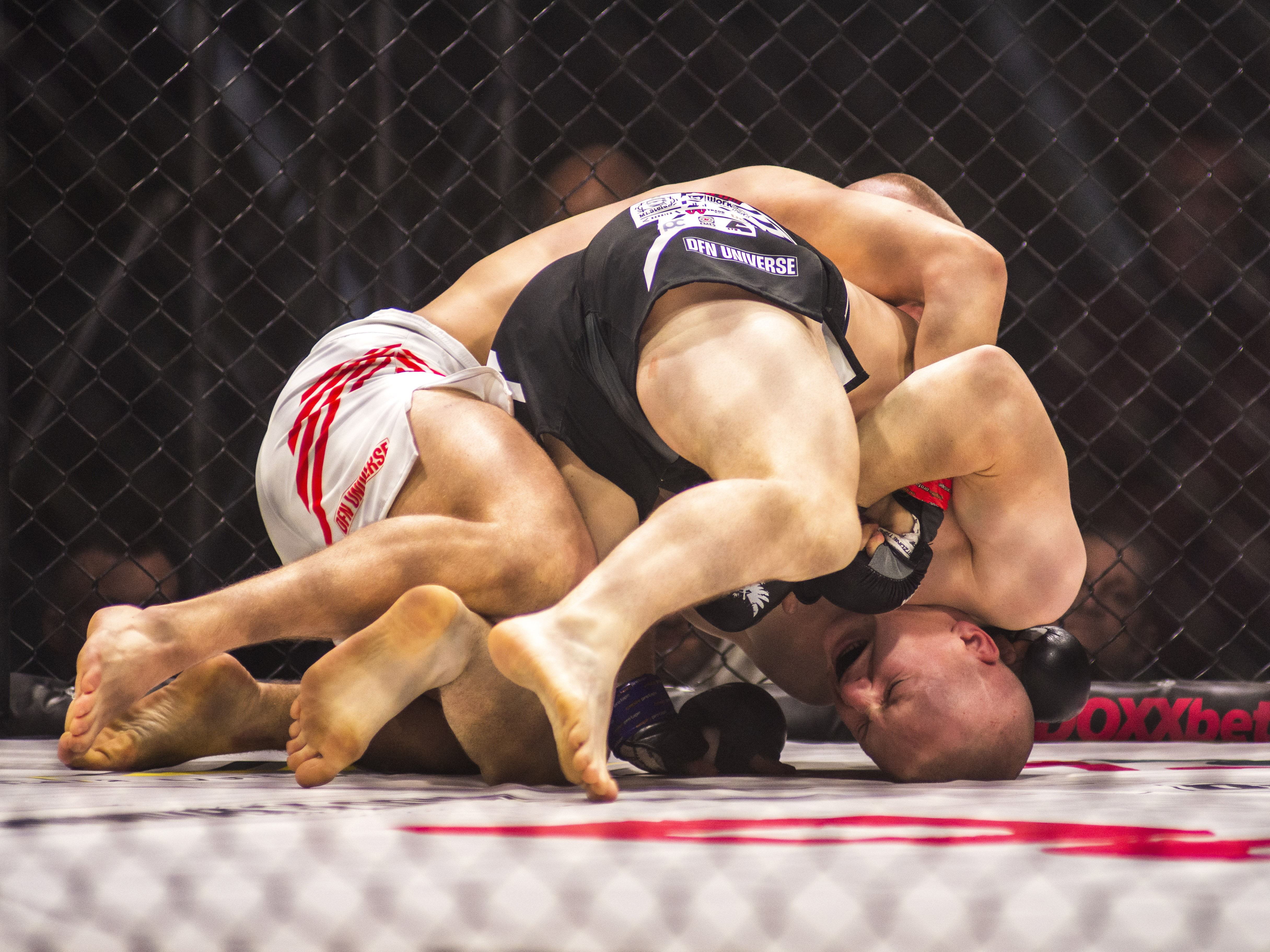 Dvaja muži zápasia v MMA klietke